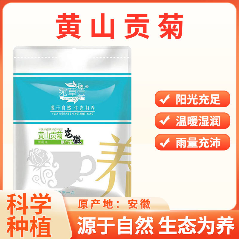 宛草壹黄山贡菊代用茶30g